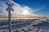 Intense ice storm slams south central Nebraska December 31, 2006. Some areas recieved over 2 inches of ice accumulation from long duration freezing drizzle and freezing rain. Damage to power lines was well into the millions of dollars. Most east-west powe