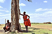 Massai in the shadow of an acacia tree, Masai Mara, Kenya.