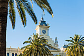 Town hall, Ayuntamiento de Malaga, framed by palm trees, Malaga, Andalusia, Spain