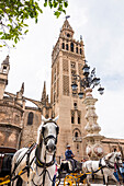Pferdekutschen vor der Kathedrale im historischen Zentrum, Sevilla, Andalusien, Provinz Sevilla, Spanien