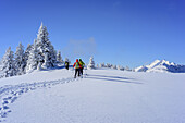 Vier Personen auf Skitour steigen über weite Schneefläche auf, Mangfallgebirge, Bayerische Alpen, Oberbayern, Bayern, Deutschland