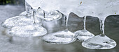 Ice at stream, Nock Mountains, Biosphaerenpark Nockberge, Carinthia, Austria