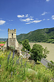 Kirche St. Michael mit Donau im Hintergrund, St. Michael, Wachau, Donauradweg, UNESCO Weltkulturerbe Wachau, Niederösterreich, Österreich