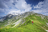 Frau wandert durch Blumenwiese, Schesaplana im Hintergrund, Rätikon-Höhenweg, Rätikon, Vorarlberg, Österreich