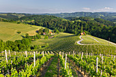 Herzerlstrasse an der slowenischen Grenze zu Österreich, Südsteirische Weinstrasse, Slowenien