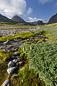 Fluss Dörae, Verklisdalen, Trolltinden, Sagtindan, Rondane Nationalpark, Oppland, Norwegen