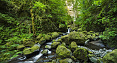 Elowah Falls, Columbia River Gorge, Oregon, USA