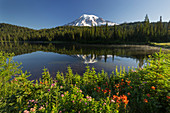 Mt. Rainier, Reflection Lakes, Mt. Rainier National Park, Washington, USA