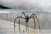 Maman (1999) sculpture by Louise Bourgeois, Guggenheim Museum, Bilbao, Biscay, Spain