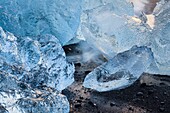 Icebergs from the Jokulsarlon glacial lagoon washed up on a nearby black volcanic sand beach from the North Atlantic Ocean. South Iceland.