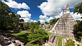 Tikal is the ruins of an ancient city found in a rainforest in Guatemala. Ambrosio Tut, a gum-sapper, reported the ruins to La Gaceta, a Guatemalan newspaper, which named the site Tikal. The Berlin Academy of Science's Magazine then republished the report