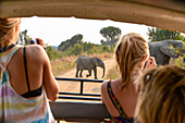 two tourists in jeep filming passing elephant herd on the road