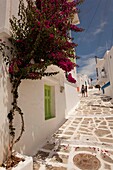 Tourists in the alley of town with bougainvilleas in the foreground, Naoussa, Paros, Cyclades Islands, Greek Islands, Greece, Europe.