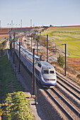 A TGV speeds through the Burgundy countryside of France.