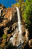 Grizzly Falls, Kings Canyon, California.
