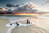 The waves and caribbean sunset frames tree trunks on Ffryers Beach Antigua and Barbuda Leeward Islands West Indies.