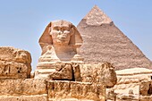 Great Sphinx of Giza, Giza, Cairo, Egypt, Africa.