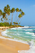 Sri Lanka - Landscape near Koggala beach, Indian Ocean coast, Asia