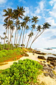 Sri Lanka - Koggala beach, village near Galle, Indian Ocean coast, Asia