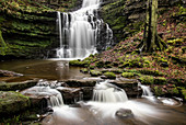 Scaleber Force waterfall, Yorkshire Dales, Yorkshire, England, United Kingdom, Europe