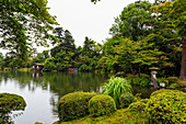 Rain drops fall on Kasumigaike Pond in summer, Kenrokuen, one of Japan's three most beautiful landscape gardens, Kanazawa, Japan, Asia