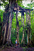 Fitness woman under old tree