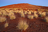 Sand dune, Sossusvlei, Namib Naukluft Park, Namib Desert, Namibia, Africa