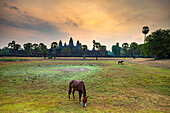 Angkor Wat at sunrise, UNESCO World Heritage Site, Siem Reap Province, Cambodia