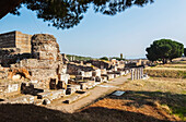 'Synagogue of Sardis and the Royal Road; Sardis, Turkey'