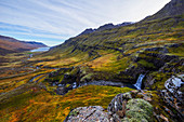 'A small waterfall on the rugged landscape of Mjoifjordur, East Fjords; Iceland'