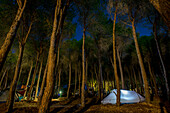 'A tent illuminated at dusk at a campground; Cala Gonone, Sardinia, Italy'