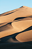 'Sand dunes in morning light, Great Sand Dunes National Park; Colorado, United States of America'