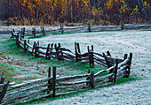 'Wooden rail fence in a frost covered grass field with trees in autumn colours; Iron Hill, Quebec, Canada'