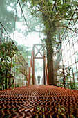 'Man on a bridge, Monteverde Cloud Forest Reserve; Monteverde, Costa Rica'