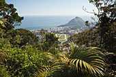 'View of Jockey Club and Leblon from Christ the Redeemer statue, Corcovado mountain, Tijaca National Park; Rio de Janeiro, Brazil'