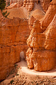 'Bryce Canyon National Park pathway through carved entrance in the USA; Utah, United States of America'