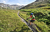 Woman rides a full suspension mountain bike on the Resurrection Pass Trail in the Chugach National Forest, Kenai Peninsula, South-central Alaska