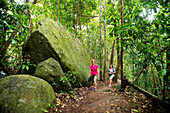 Tropischer Regenwald prägt Wanderungen in der Mosman Gorge, Queensland, Australien
