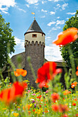 Lauerturm, Ettlingen, Schwarzwald, Baden-Württemberg, Deutschland