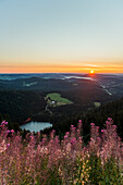 Ausblick zum Feldsee nach Osten, Sonnenaufgang, Feldberg, Schwarzwald, Baden-Württemberg, Deutschland