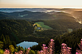 View east towards Feldsee at sunrise, Feldberg, Black Forest, Baden-Wuerttemberg, Germany