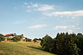 Schaafe vor Burg Staufeneck, Landkreis Göppingen, Schwäbische Alb, Baden-Württemberg, Deutschland