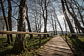 ein Wanderweg führt mitten über das Schopflocher Torfmoor, es ist das einzigste größere Hochmoor der Schwäbischen Alb, Schopfloch bei Lenningen, Landkreis Esslingen, Baden-Württemberg, Deutschland