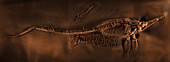 in Schiefer konservierter Fischsaurier im Urwelt Museum Hauff, Holzmaden, Landkreis Esslingen, Schwäbische Alb, Baden-Württemberg, Deutschland
