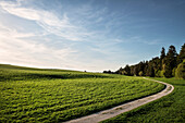 Das Wental ist ein typisches Trockental nordwestlich von Steinheim am Albuch auf der Karsthochfläche der Schwäbischen Alb, Landkreis Heidenheim, Baden-Württemberg, Deutschland