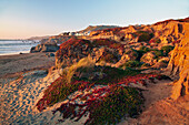 Sonnenuntergang am Pazifik , Dillon Beach , Bodega Bay , Sonoma , Kalifornien , USA