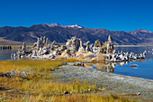 South Tufa , Mono Lake , Sierra Nevada , Kalifornien , U.S.A. , Amerika