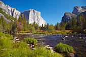 View at Merced River and El Capitan , Yosemite National Park , Sierra Nevada , California , U.S.A. , America