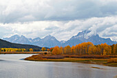 Autumnal tints at Oxbow Bend , Snake River , Teton Range , Grand Teton National Park , Wyoming , U.S.A. , America