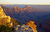 Blick vom Bright Angel Point in den  Bright Angel Canyon , North Rim , Grand Canyon National Park , Arizona , U.S.A. , Amerika